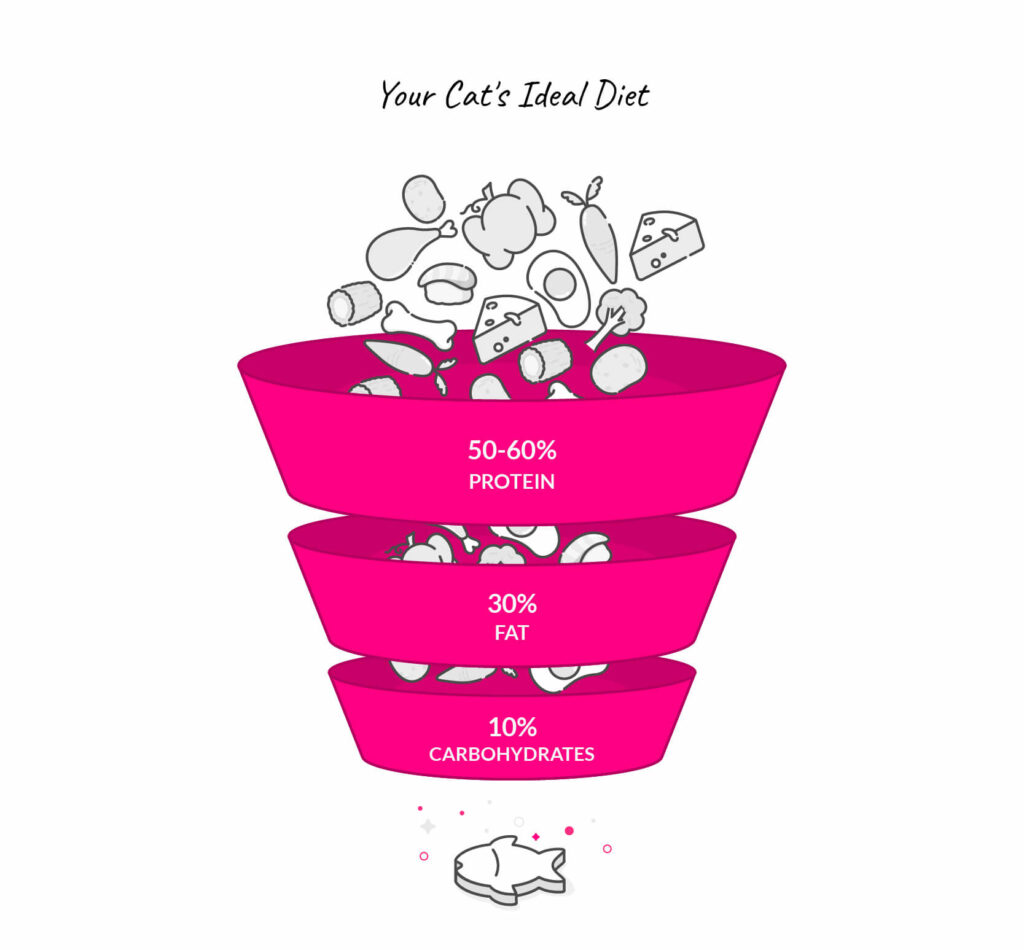 cat food recommendations by vets