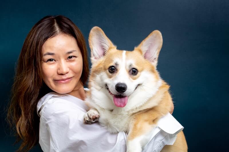 pet insurance