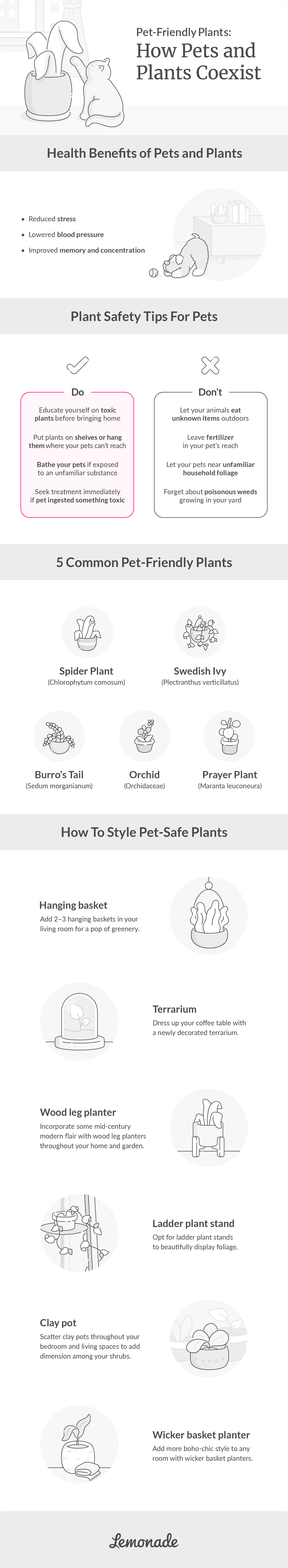 27 Pet-Friendly Plants For Your Home and Garden